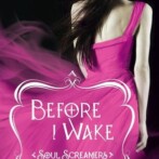 Review : Before I Wake by Rachel Vincent