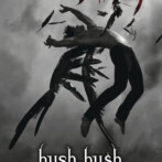 Giveaway : 2 copies of Hush, Hush!