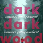 Review : In a Dark Dark Wood by Ruth Ware