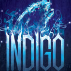 Review : Indigo Awakening by Jordan Dane