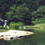 Wordless Wednesday : Summer at the Botanical Garden – the Japanese Garden