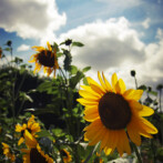 Wordless Wednesday – Jardin des Plantes, Paris, part 3