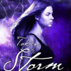 Review : Taken by Storm