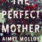 Thoughts on : The Perfect Mother by Aimee Molloy