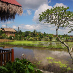 Wordless Wednesday – Lunch by the Rice Fields in Ubud